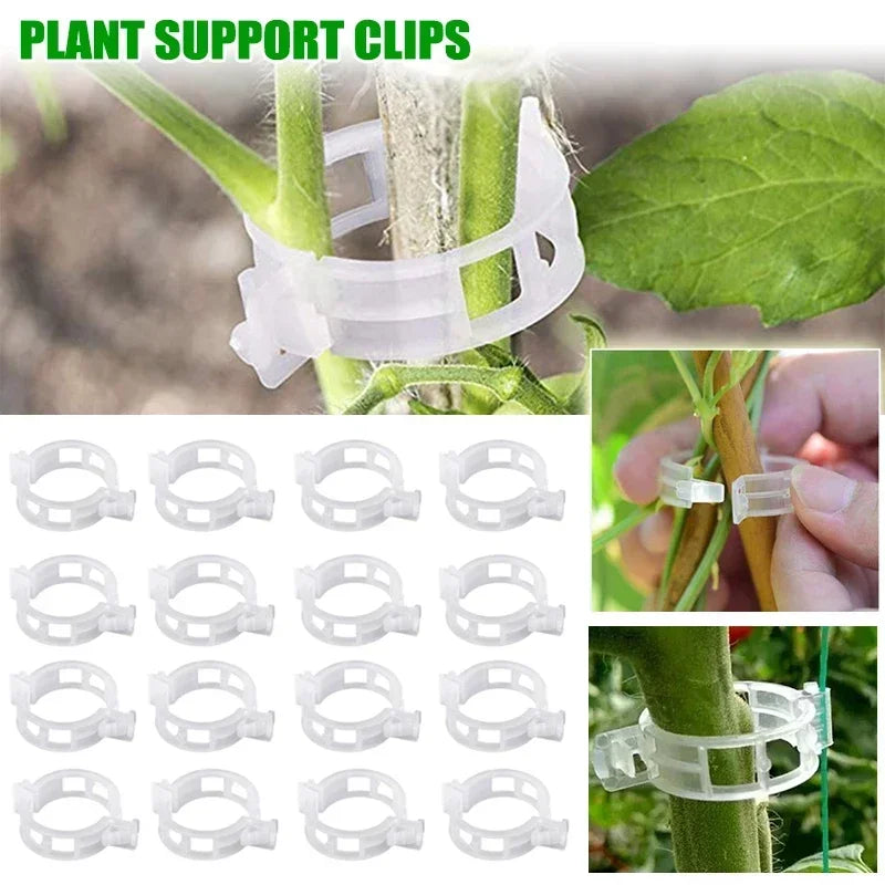 Versatile Reusable Garden Plant Fasteners | Plastic Vine & Tomato Stem Supports for Garden