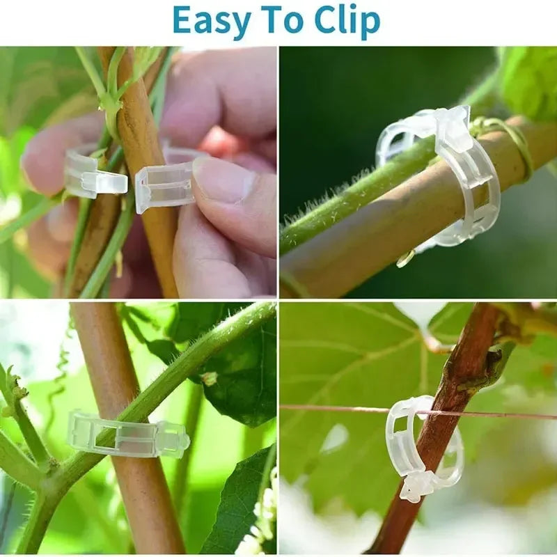 Versatile Reusable Garden Plant Fasteners | Plastic Vine & Tomato Stem Supports for Garden