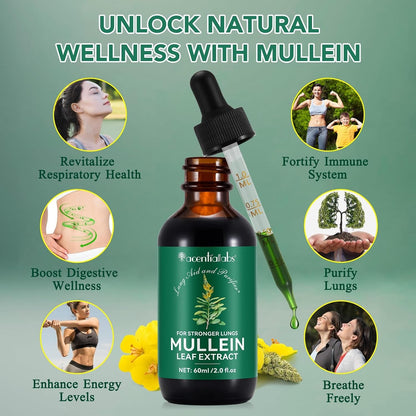 Mullein Drops for Lungs Bundle – 2 × 2 oz Bottles with Chlorophyll for Breathing & Wellness Support