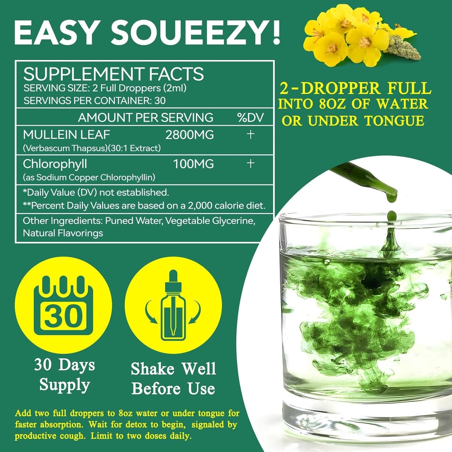 Mullein Drops for Lungs Bundle – 2 × 2 oz Bottles with Chlorophyll for Breathing & Wellness Support