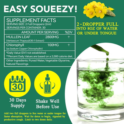 Mullein Drops for Lungs Bundle – 2 × 2 oz Bottles with Chlorophyll for Breathing & Wellness Support