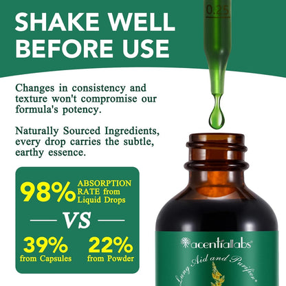Mullein Drops for Lungs Bundle – 2 × 2 oz Bottles with Chlorophyll for Breathing & Wellness Support