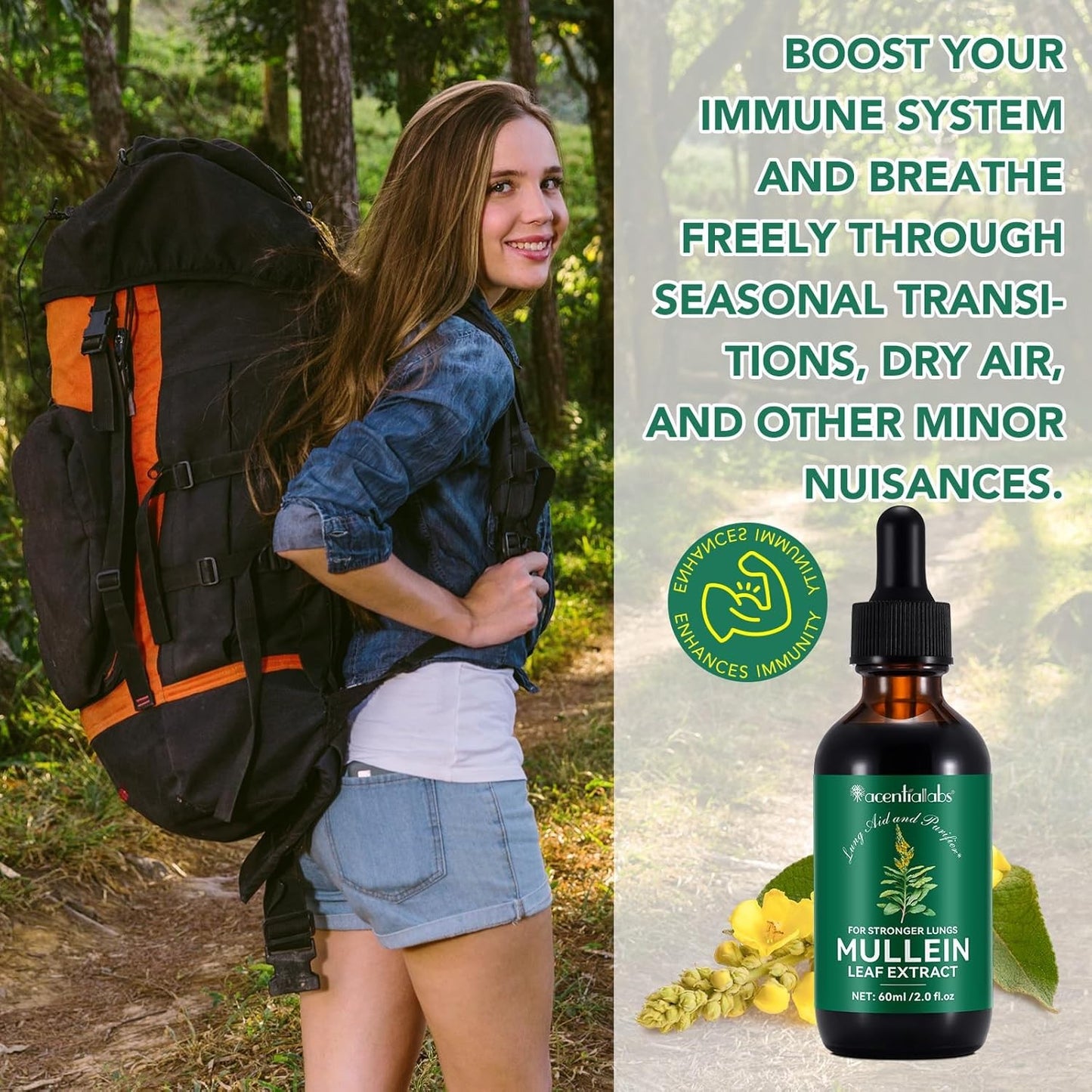 Mullein Drops for Lungs Bundle – 2 × 2 oz Bottles with Chlorophyll for Breathing & Wellness Support